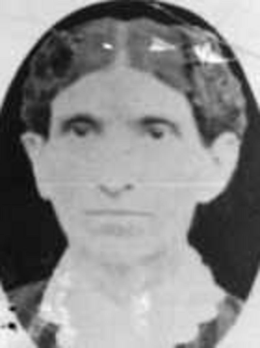 Phebe Ann Griffeth (1847 - 1891) Profile